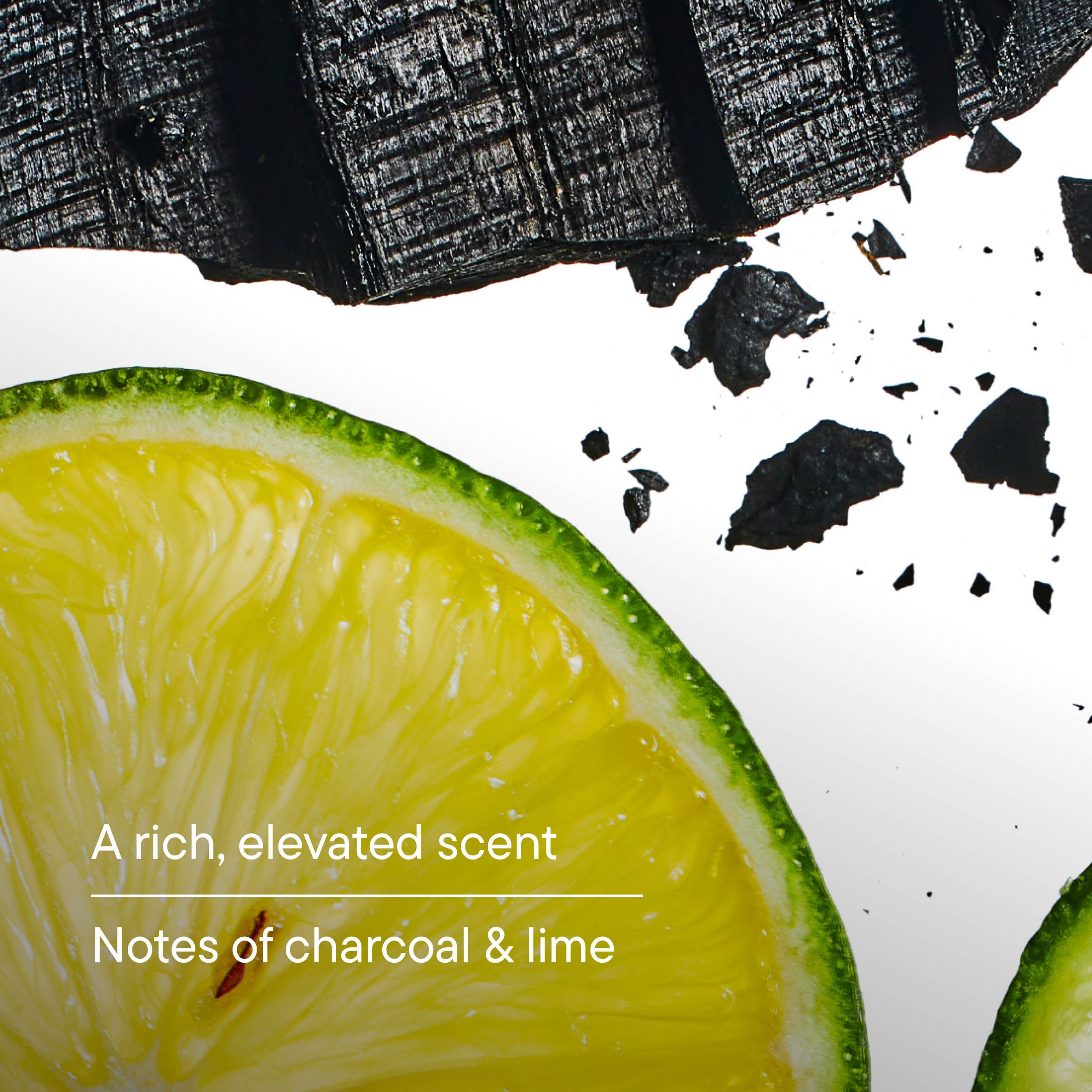 Hair & Body Cleansers - Sleek Blade Refills