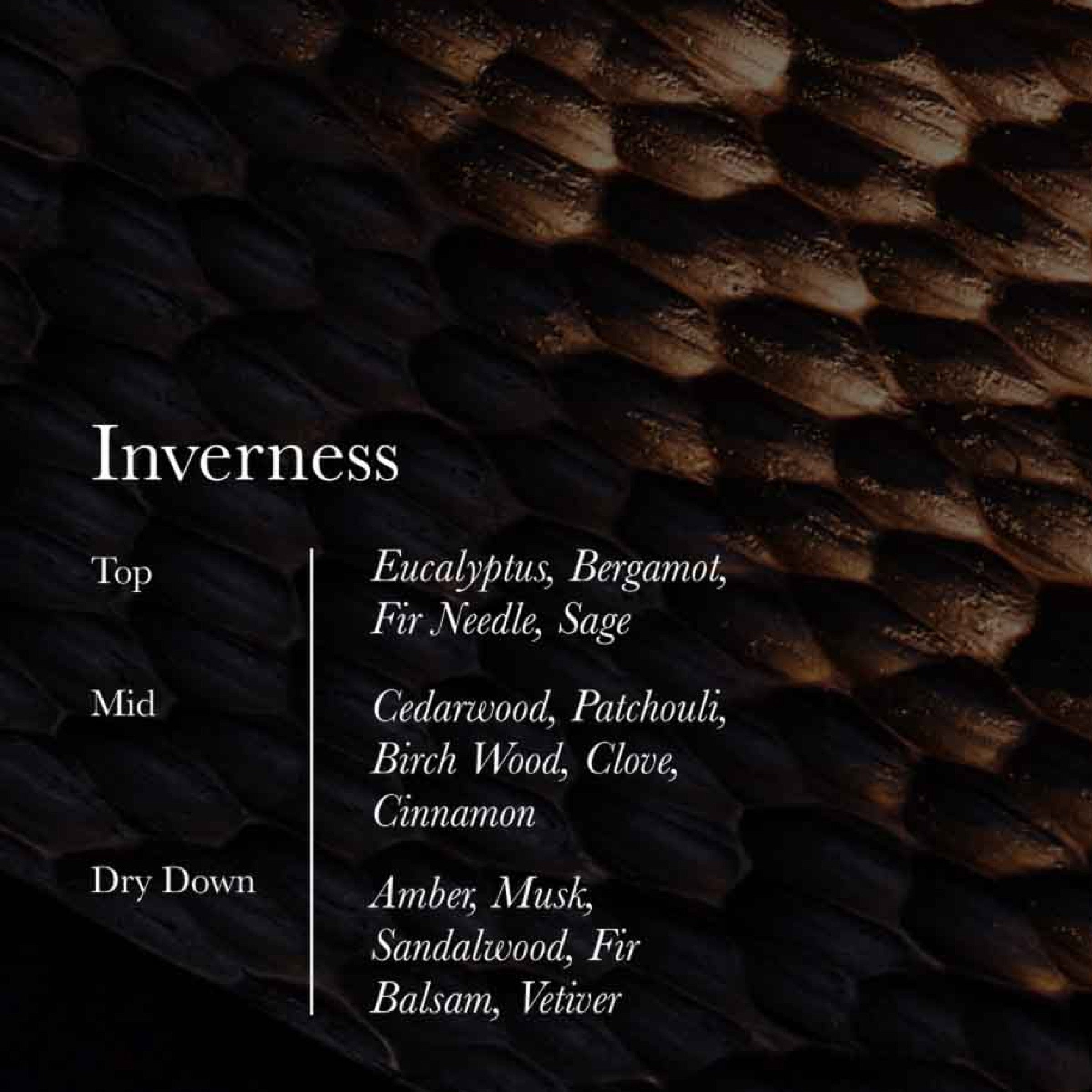 Inverness Candle - Daily Daily Shave Essentials